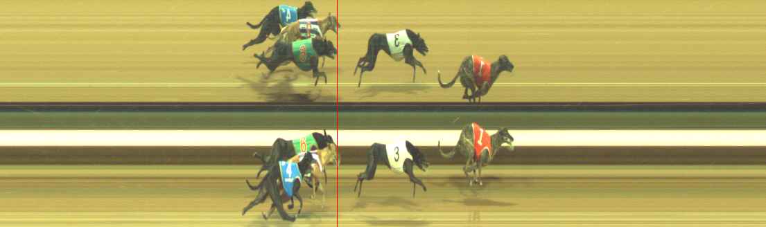 Photo finish for Warragul Race 10