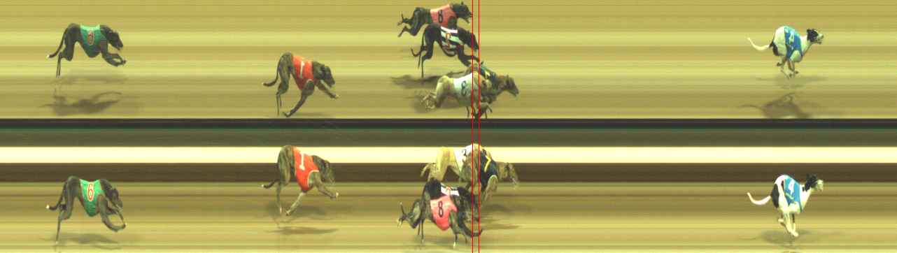 Photo finish for Warragul Race 11
