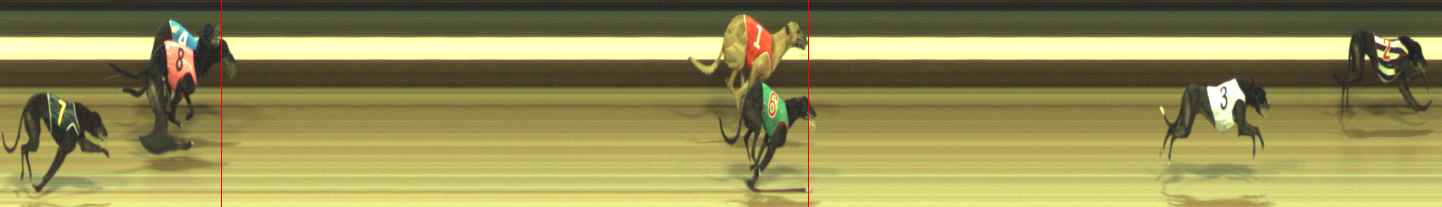 Photo finish for Warragul Race 12