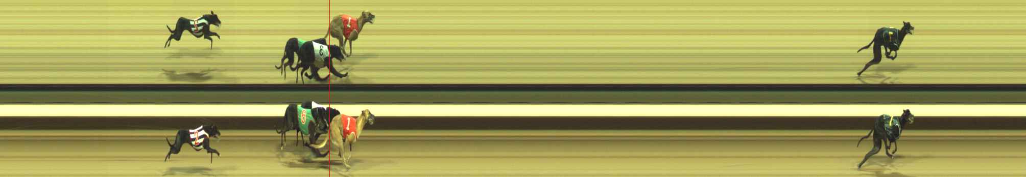 Photo finish for Warragul Race 1