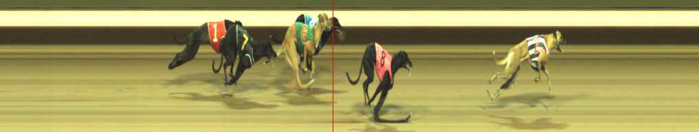 Photo finish for Warragul Race 2