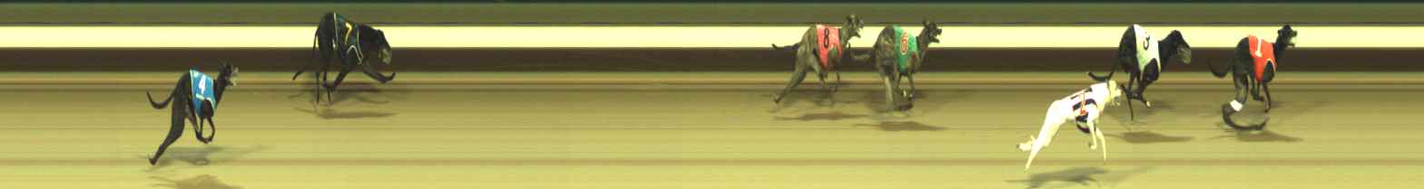Photo finish for Warragul Race 4