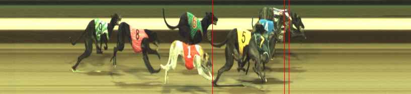 Photo finish for Warragul Race 5