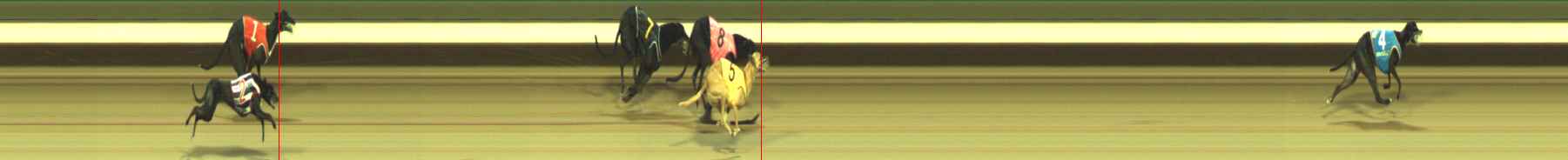 Photo finish for Warragul Race 7
