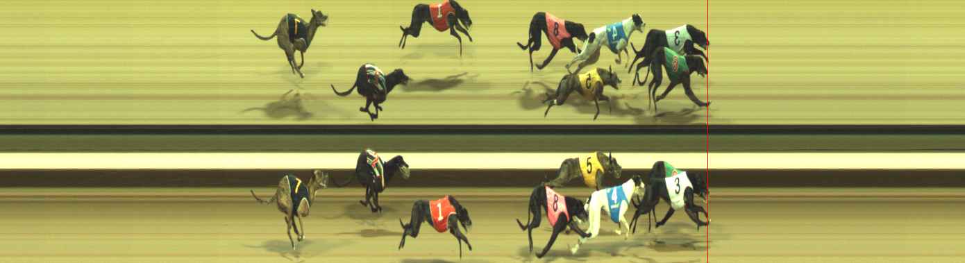 Photo finish for Warragul Race 8
