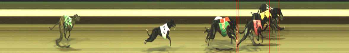 Photo finish for Warragul Race 11