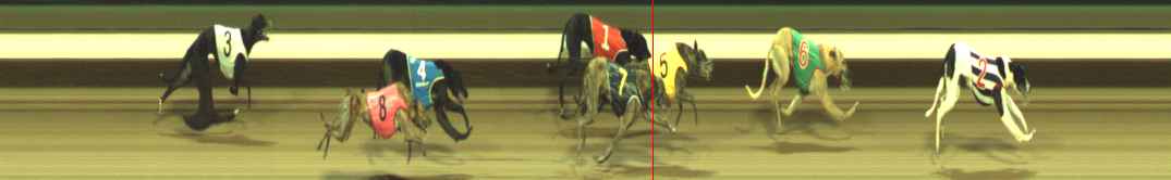 Photo finish for Warragul Race 12