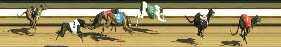 Photo finish for Warragul Race 1