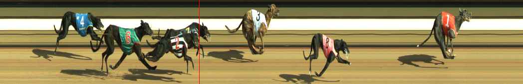 Photo finish for Warragul Race 2