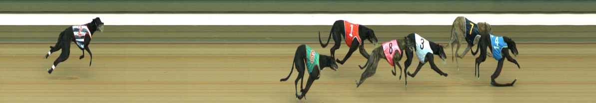 Photo finish for Warragul Race 3