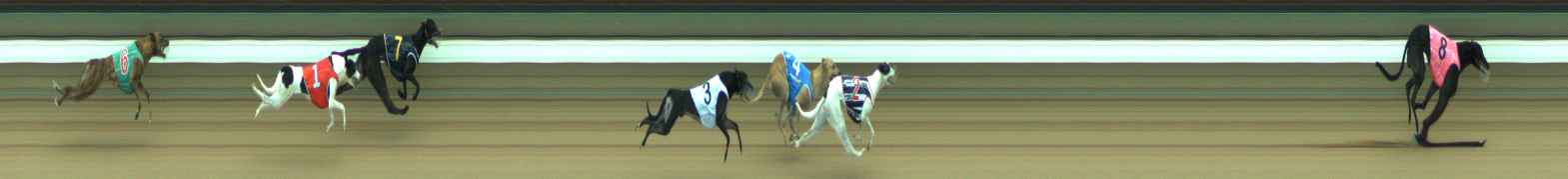 Photo finish for Warragul Race 4