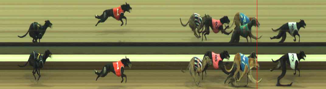 Photo finish for Warragul Race 7