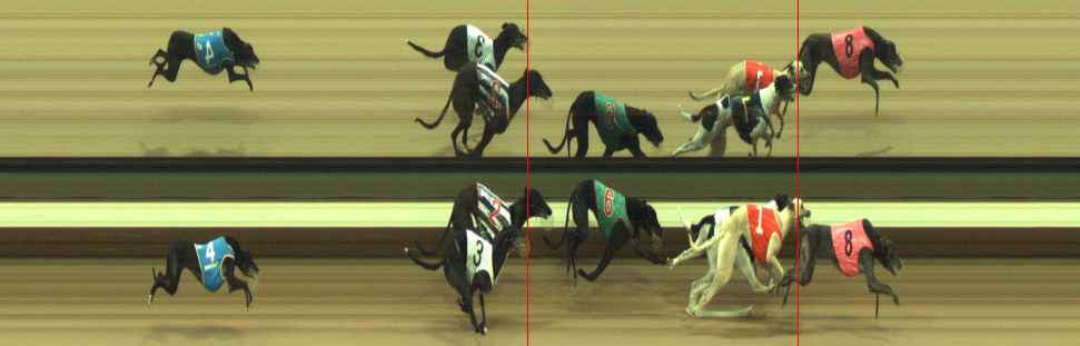 Photo finish for Warragul Race 8