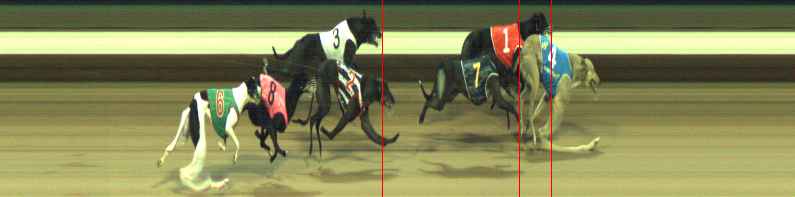 Photo finish for Warragul Race 9