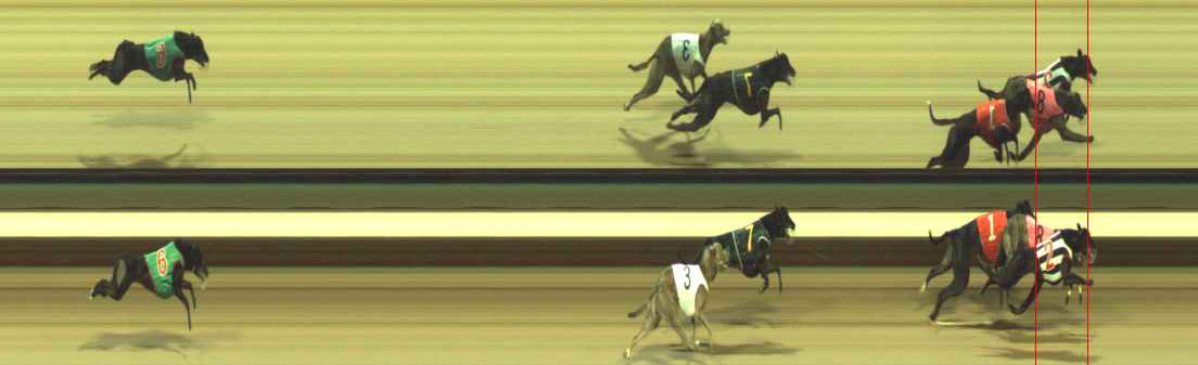 Photo finish for Warragul Race 10