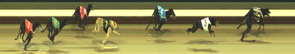 Photo finish for Warragul Race 11