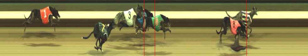 Photo finish for Warragul Race 12