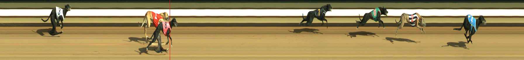Photo finish for Warragul Race 1