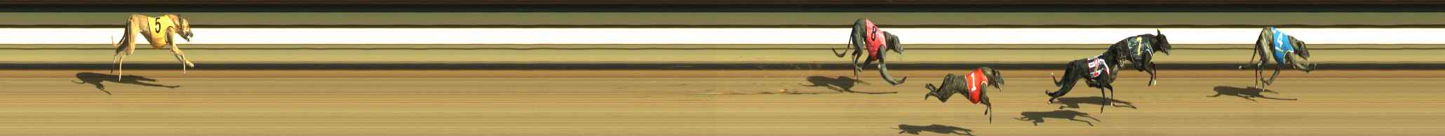 Photo finish for Warragul Race 2