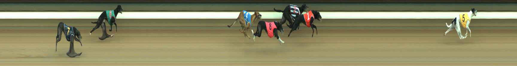 Photo finish for Warragul Race 3