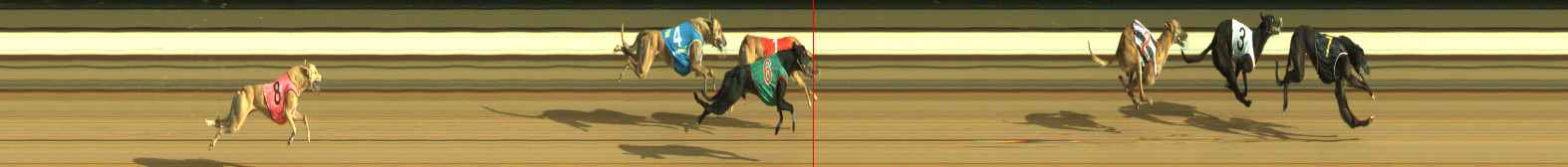 Photo finish for Warragul Race 4