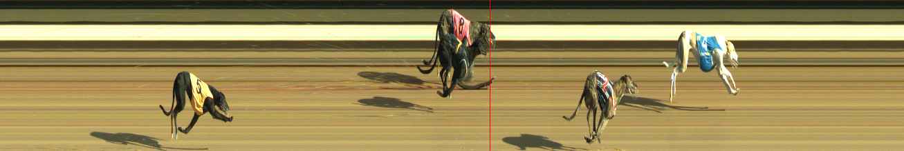 Photo finish for Warragul Race 5