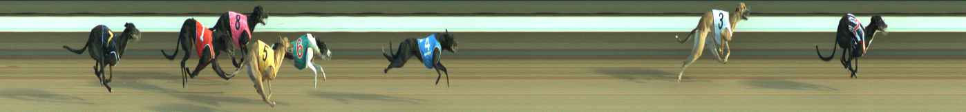 Photo finish for Warragul Race 6