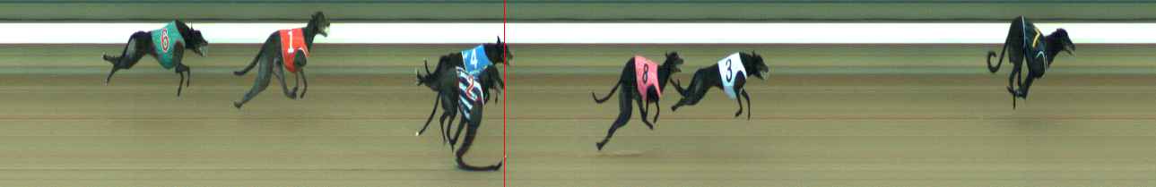 Photo finish for Warragul Race 8