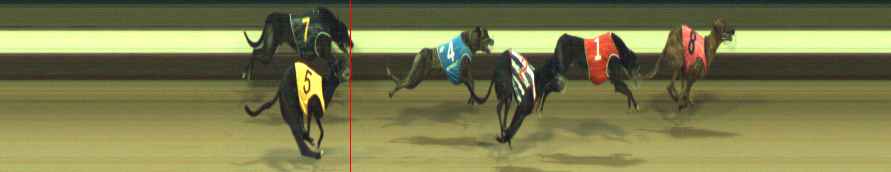 Photo finish for Warragul Race 10
