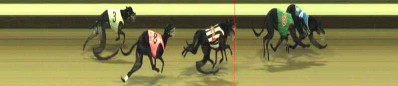 Photo finish for Warragul Race 11