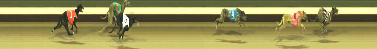 Photo finish for Warragul Race 12