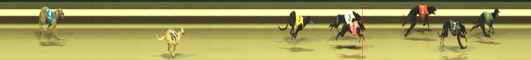 Photo finish for Warragul Race 1
