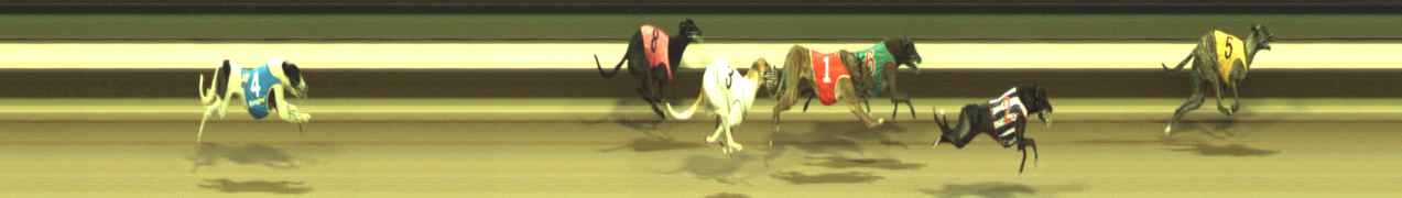 Photo finish for Warragul Race 2