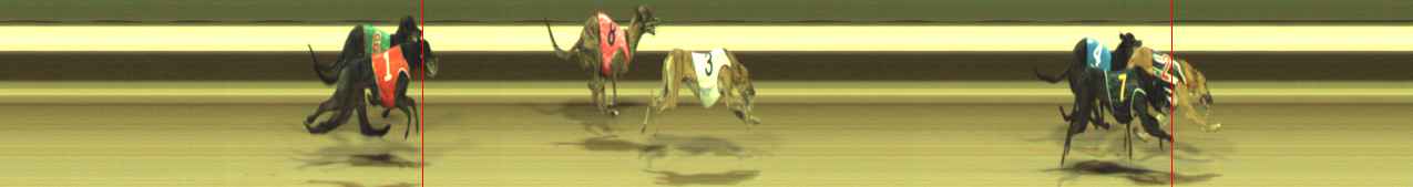 Photo finish for Warragul Race 3