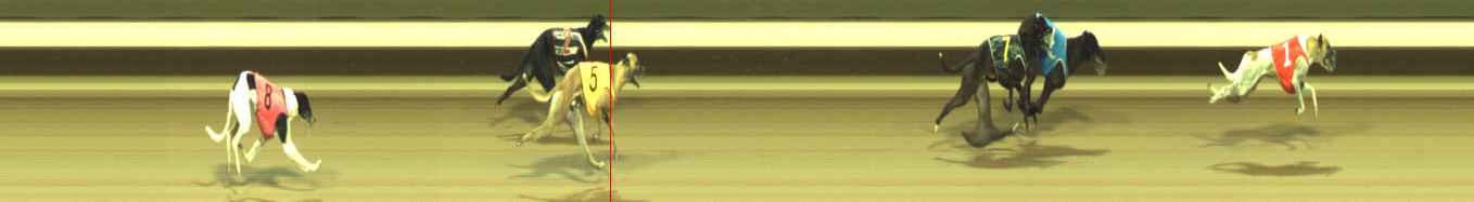 Photo finish for Warragul Race 4