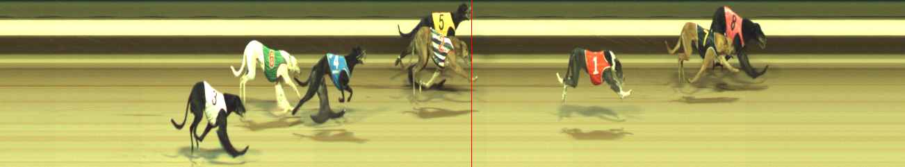Photo finish for Warragul Race 5