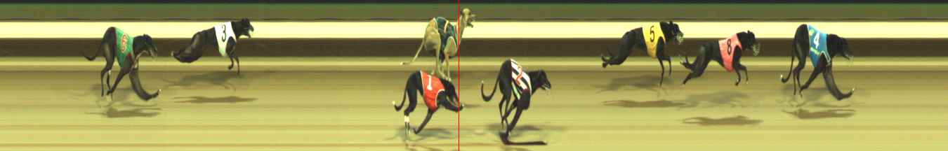 Photo finish for Warragul Race 6