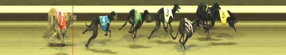 Photo finish for Warragul Race 7
