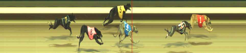 Photo finish for Warragul Race 8