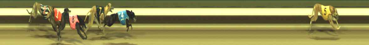 Photo finish for Warragul Race 9