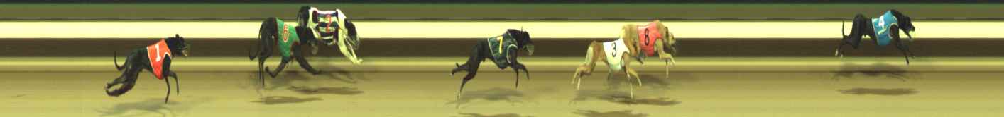Photo finish for Warragul Race 10