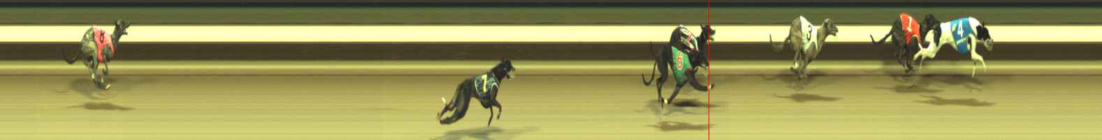 Photo finish for Warragul Race 11