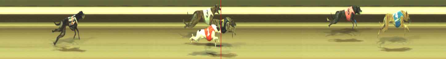 Photo finish for Warragul Race 12