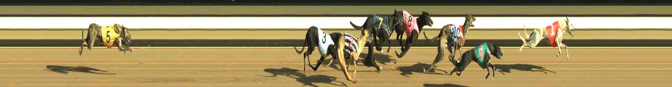 Photo finish for Warragul Race 2