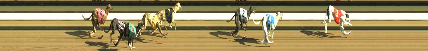 Photo finish for Warragul Race 3