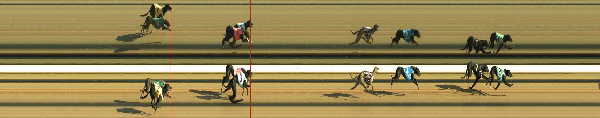 Photo finish for Warragul Race 4