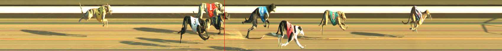 Photo finish for Warragul Race 6