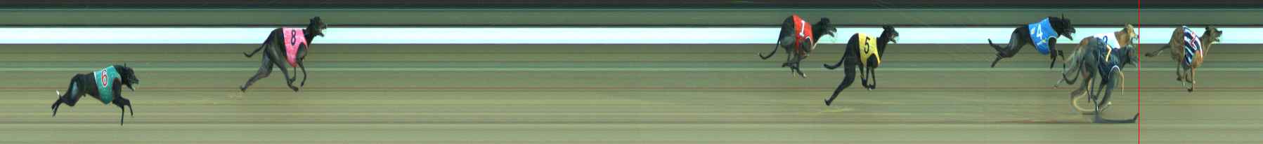 Photo finish for Warragul Race 7