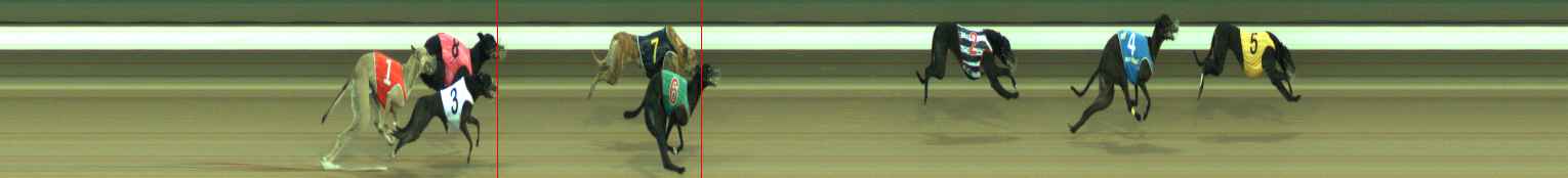 Photo finish for Warragul Race 8