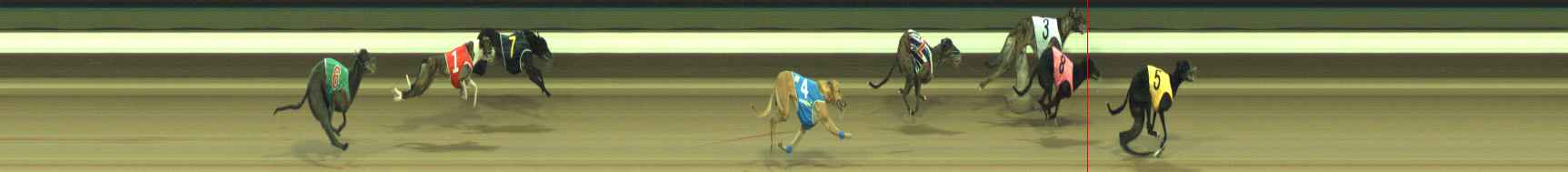 Photo finish for Warragul Race 9